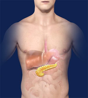 Diabesity Educational Seminar